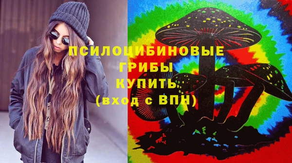мяу мяу кристалл Осинники
